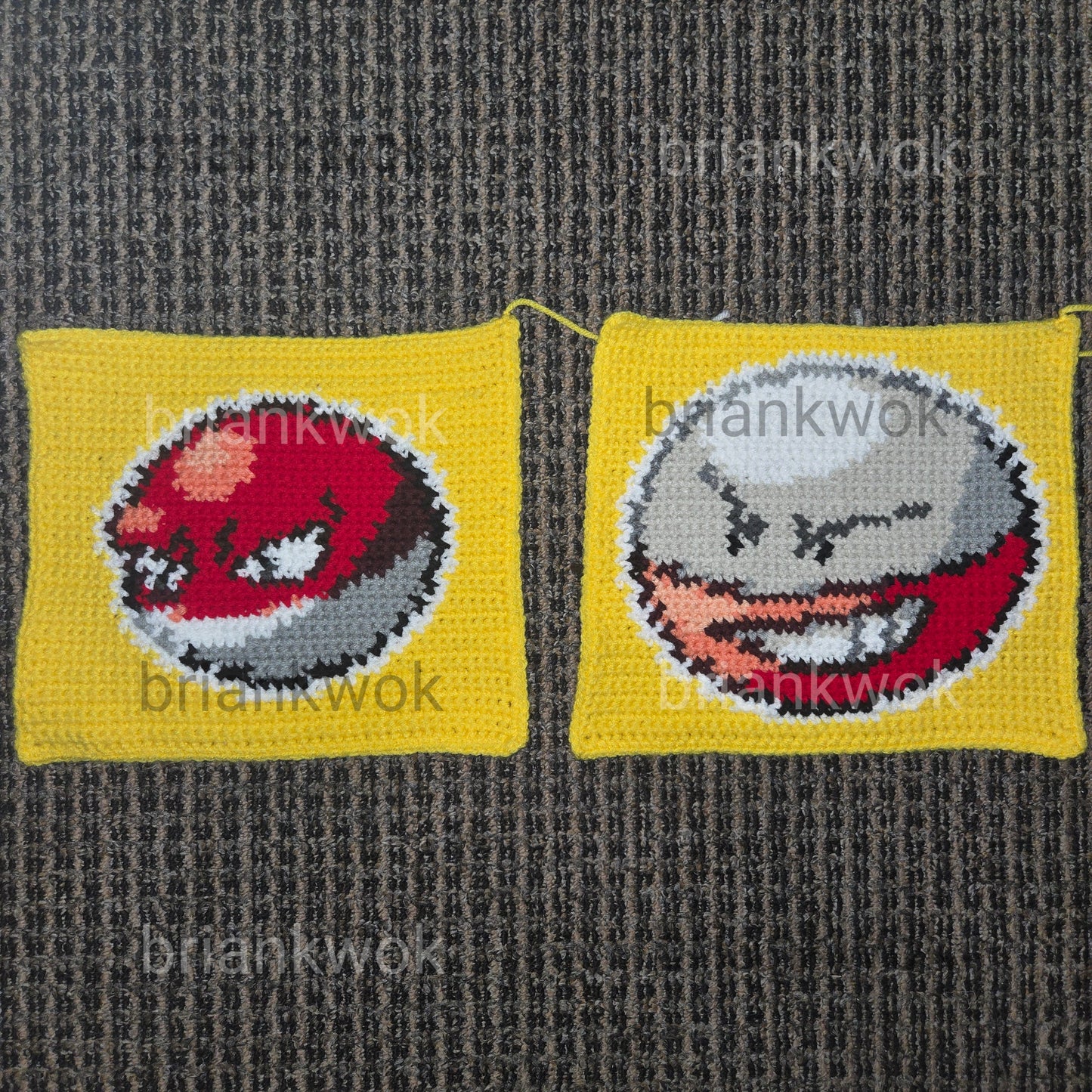 0100-0101 Voltorb & Electrode Pokemon Portrait Tapestry Crochet Pattern [Digital Pattern]