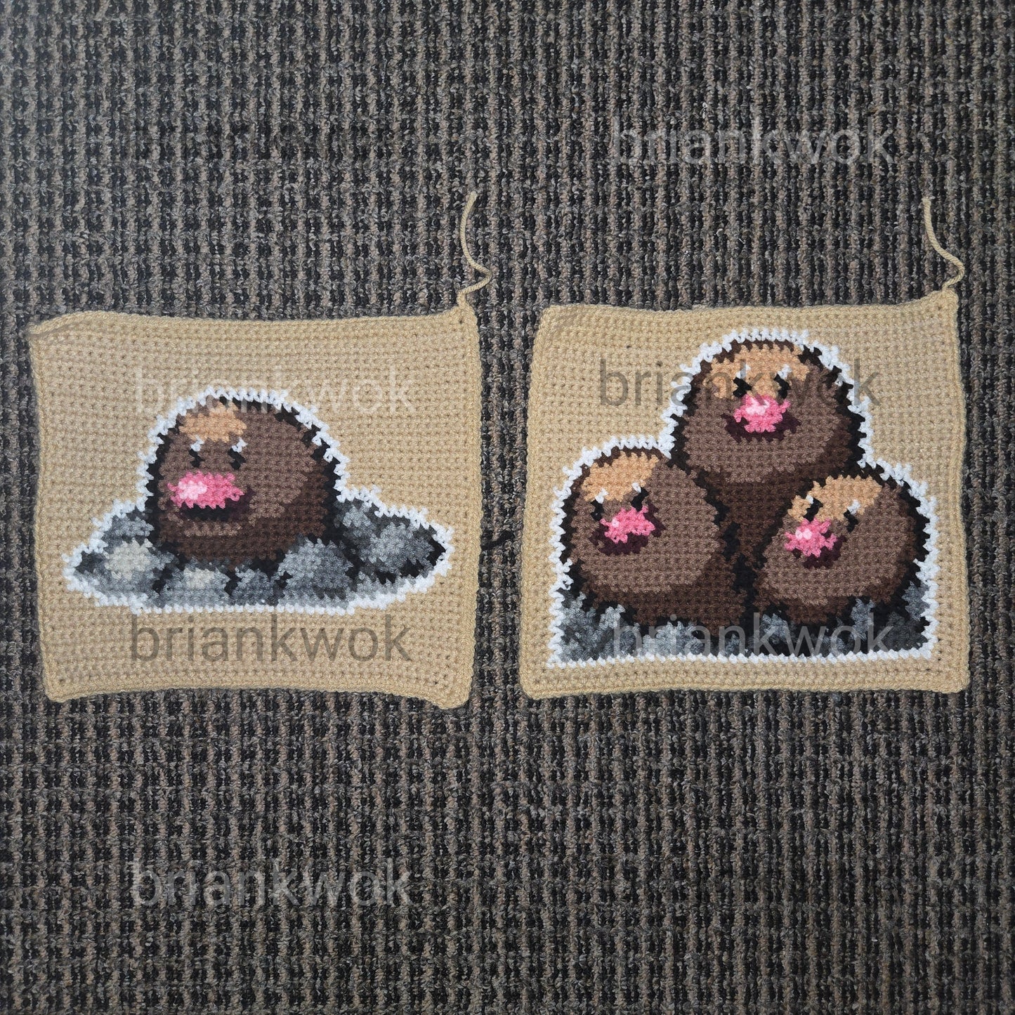 0050-0051 Diglett & Dugtrio Pokemon Portrait Tapestry Crochet Pattern [Digital Pattern]