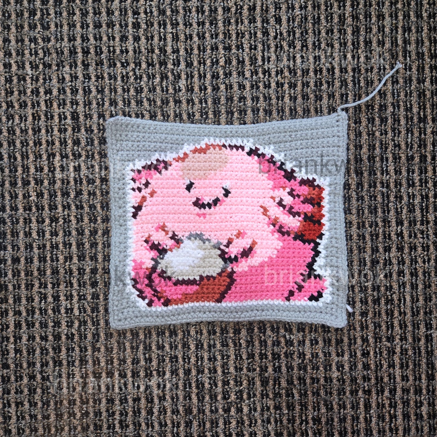 0113 Chansey Pokemon Portrait Tapestry Crochet Pattern [Digital Pattern]