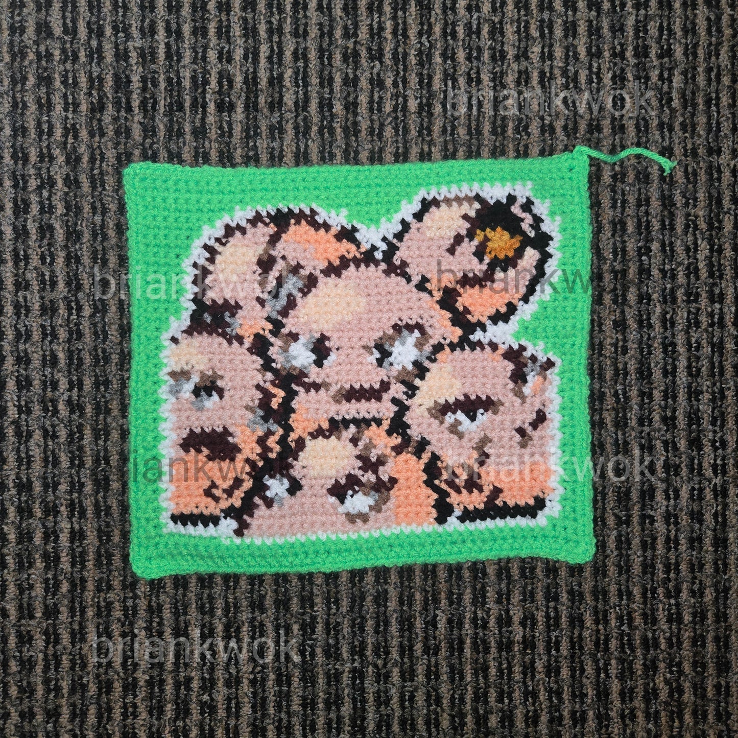 0102-0103 Exeggcute & Exeggcutor Pokemon Portrait Tapestry Crochet Pattern [Digital Pattern]