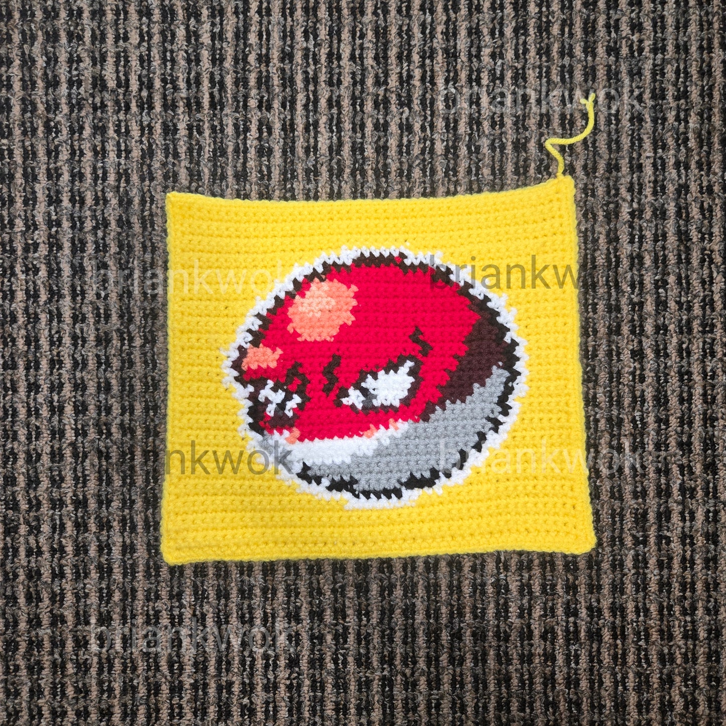 0100-0101 Voltorb & Electrode Pokemon Portrait Tapestry Crochet Pattern [Digital Pattern]